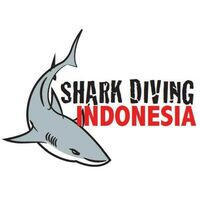 Shark Diving Indonesia