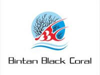 Bintan Black Coral